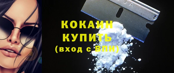 сатива Богородицк