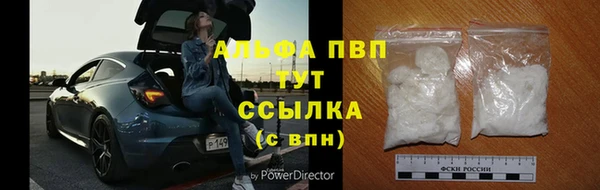 сатива Богородицк