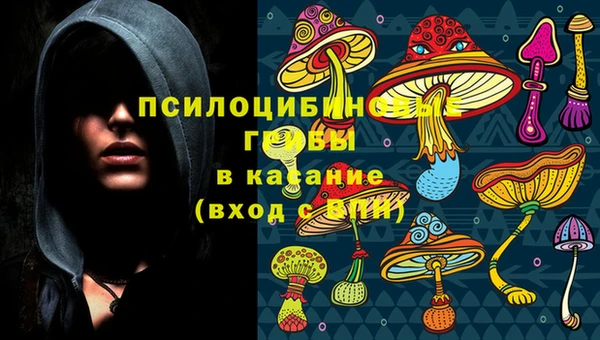 мдпв Богородск