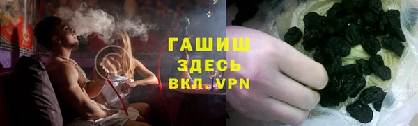мдпв Богородск