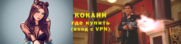 сатива Богородицк