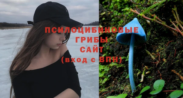 сатива Богородицк