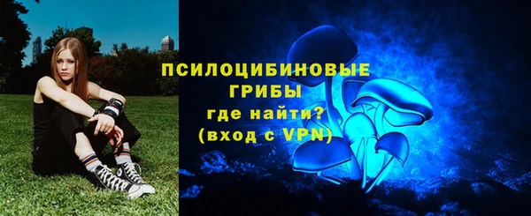 мдпв Богородск