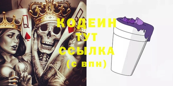 мдпв Богородск